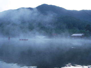 �������ł��傤�H